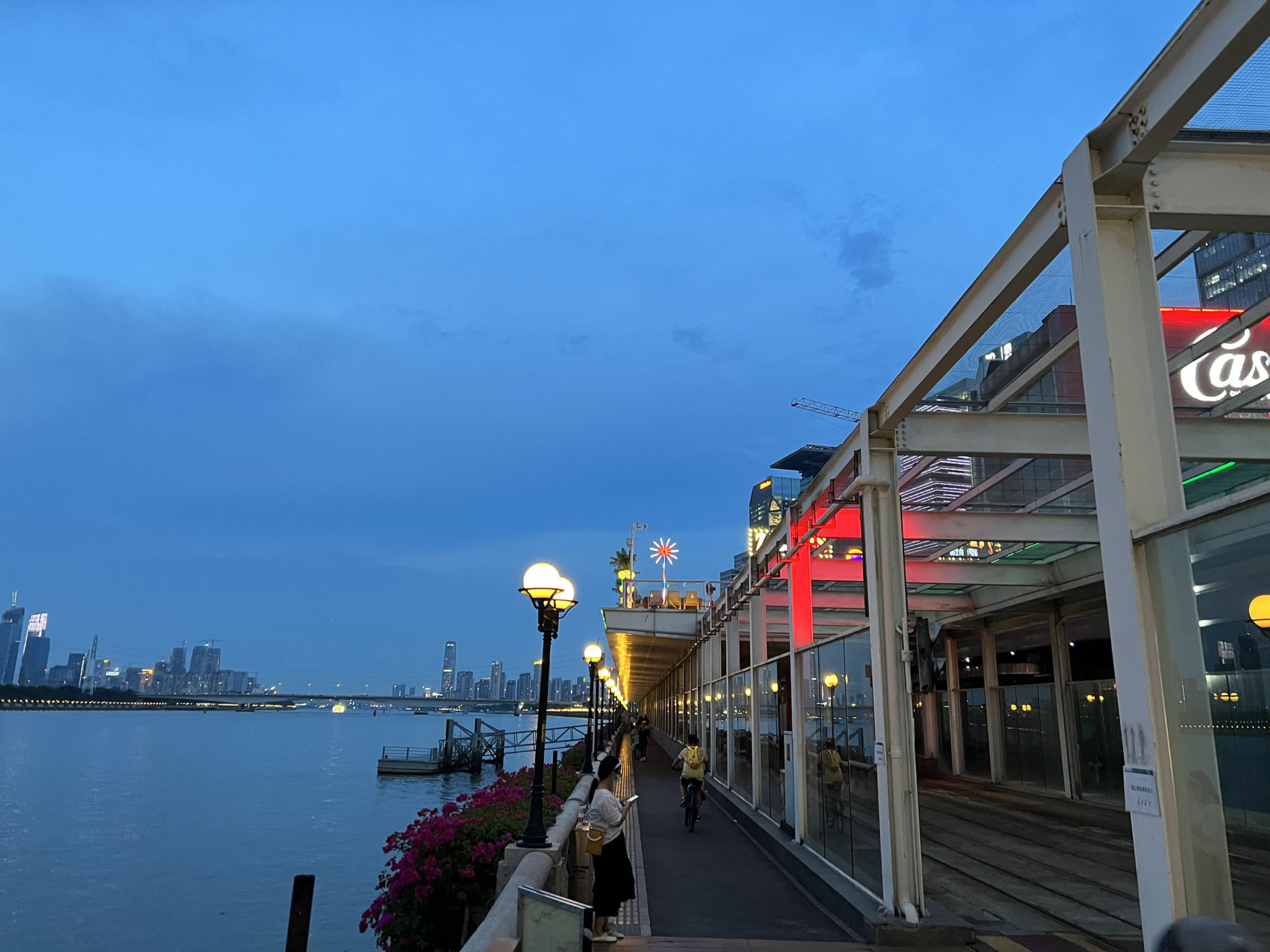 Party Pier Night View